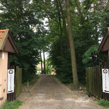 W Starym Sadzie Owińska