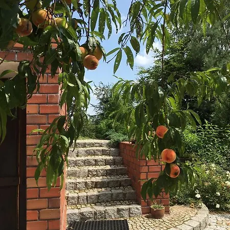 农家乐 W斯塔里萨迪齐旅馆 Owińska