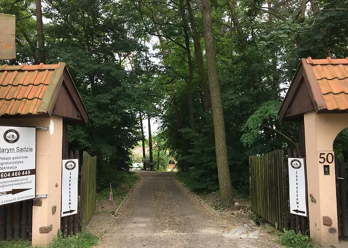 W Starym Sadzie Owinska