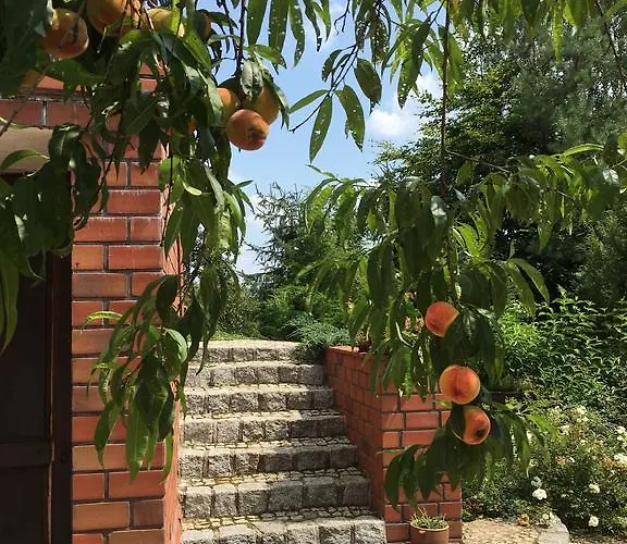 Farm stay W Starym Sadzie Owinska