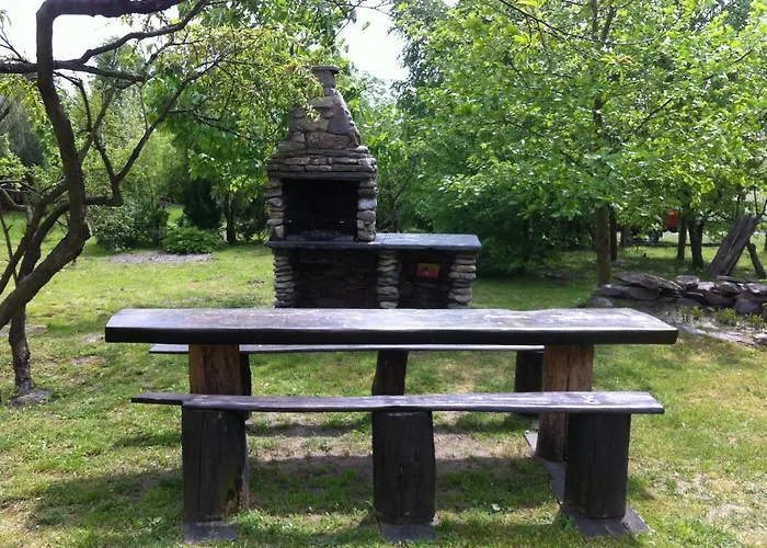 W Starym Sadzie Owinska